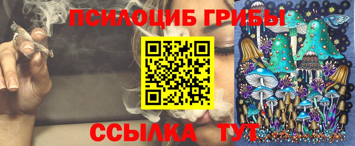 Лобня  Галлюциногенные грибы Cubensis  Вход с VPN 