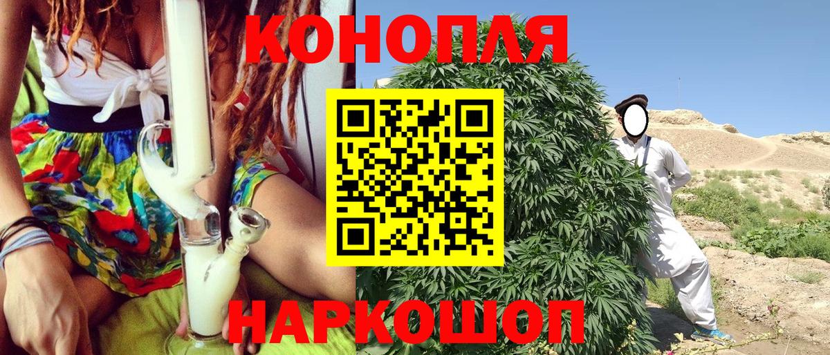 Конопля индика  Конопля планчик  Вход с VPN  Лобня 